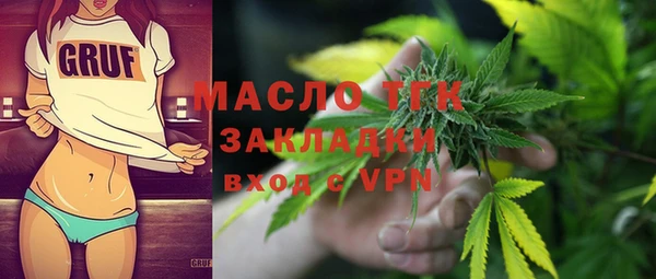 крисы Богородицк