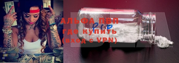 крисы Богородицк