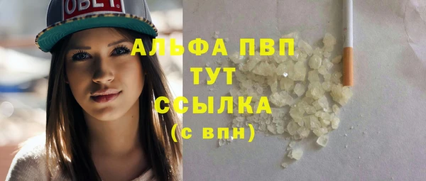крисы Богородицк