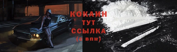 марки nbome Богданович