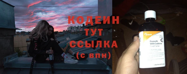 крисы Богородицк