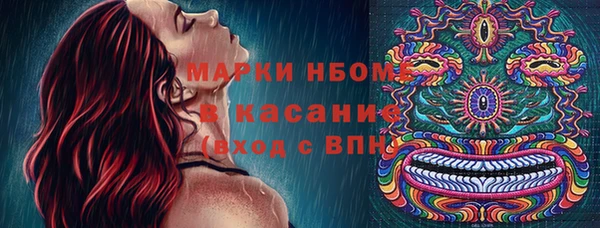 крисы Богородицк