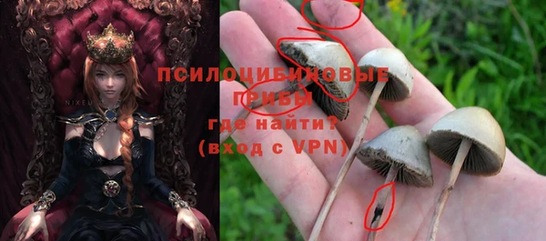 трава Бронницы