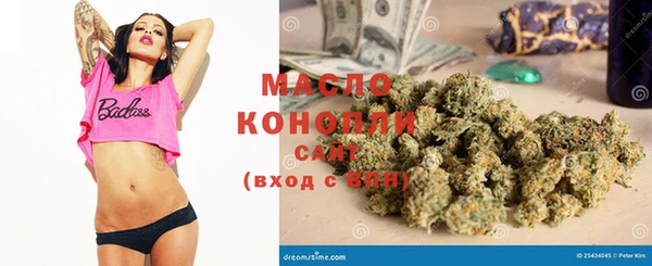 шишки Ельня